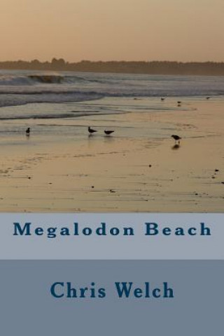 Könyv Megalodon Beach Chris Welch