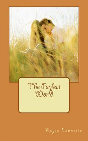 Boek The Perfect World Kayla Bonnette