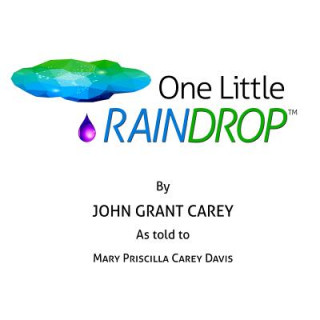 Kniha One Little Raindrop Mary Priscilla Carey Davis