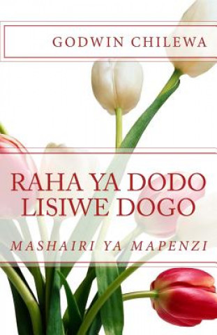 Kniha Raha ya Dodo Lisiwe Dogo MR Godwin Chilewa