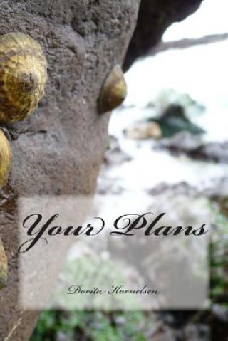 Knjiga Your Plans Dorita Lynn Kornelsen