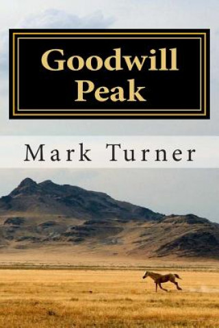 Kniha Goodwill Peak Mark Turner