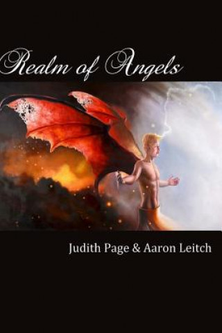 Kniha Realm of Angels Judith Page