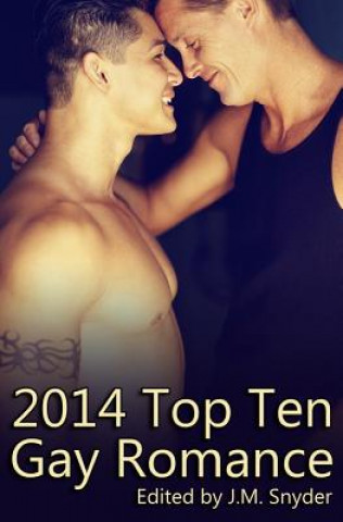 Carte 2014 Top Ten Gay Romance J M Snyder