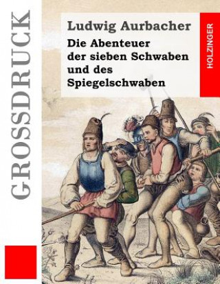 Kniha Die Abenteuer der sieben Schwaben und des Spiegelschwaben Ludwig Aurbacher