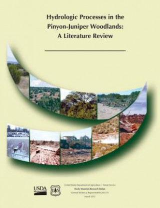 Kniha Hydrologic Processes in the Pinyon-Juniper Woodlands: A Literature Review United States Department of Agriculture