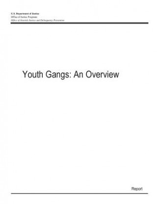 Kniha Youth Gangs: An Overview U S Department of Justice