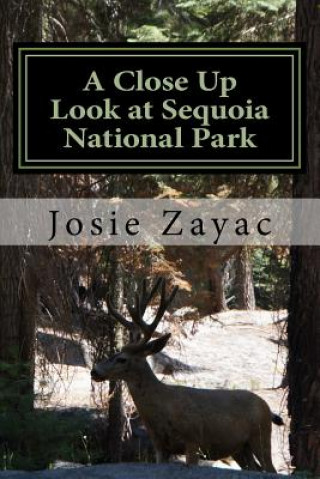 Książka A Close Up Look at Sequoia National Park Dr Josie Zayac