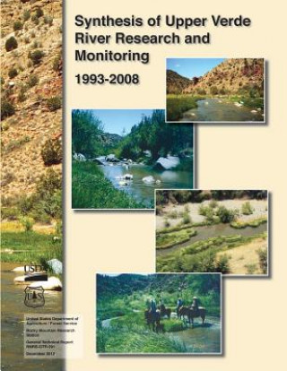 Kniha Synthesis of Upper Verde River Research and Monitoring 1993-2008 U S Department of Agriculture