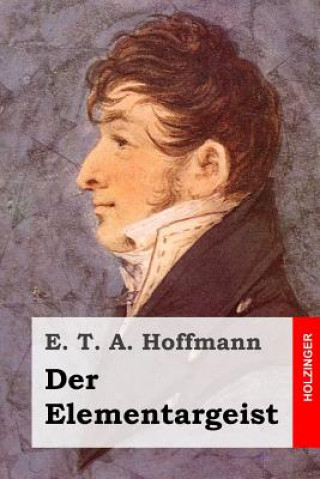 Книга Der Elementargeist E. T. A. Hoffmann