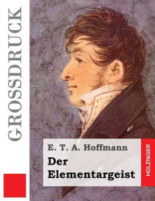 Könyv Der Elementargeist E. T. A. Hoffmann