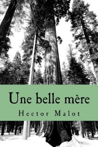 Buch Une belle mere M Hector Malot