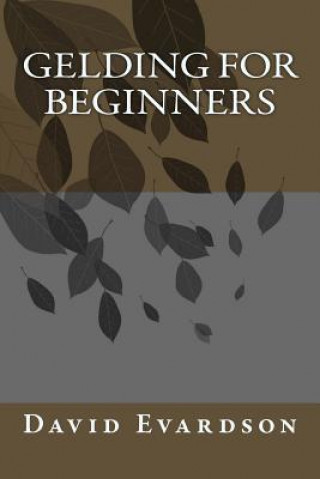 Knjiga Gelding For Beginners David Evardson