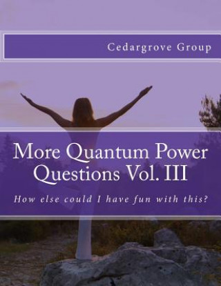 Книга More Quantum Power Questions Vol. III Cedargrove Mastermind Group