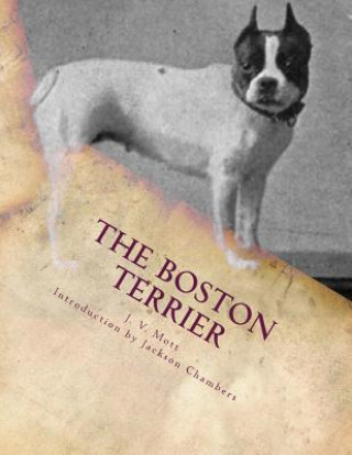 Книга The Boston Terrier J V Mott