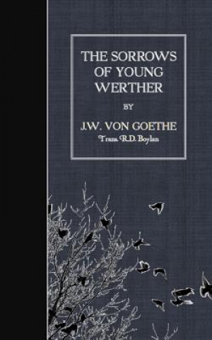 Książka The Sorrows of Young Werther J W Von Goethe
