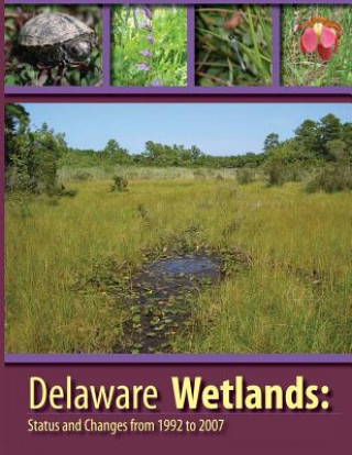 Kniha Deleware Wetlands: Status and Changes from 1992 to 2007 U S Fish and Wildlife Service