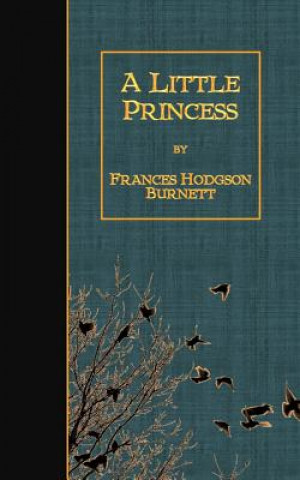 Kniha A Little Princess Frances Hodgson Burnett