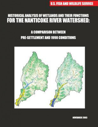 Kniha Historical Analysis of Wetlands and Their Functions For the Nanticoke River Watershed: A Comparison between Pre-settlement and 1998 Conditions U S Fish &amp; Wildlife Service