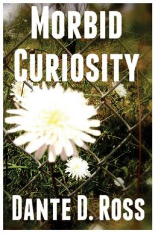 Buch Morbid Curiosity Dante D Ross