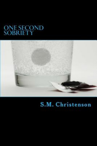 Knjiga One Second Sobriety S M Christenson