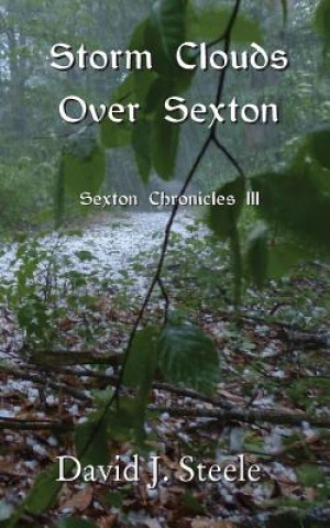 Knjiga Storm Clouds Over Sexton David J Steele