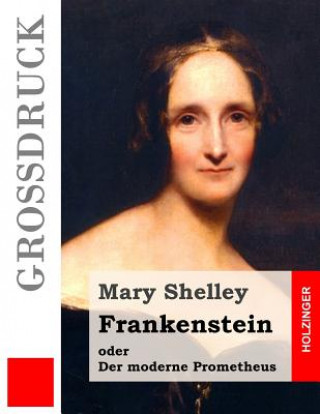 Kniha Frankenstein oder Der moderne Prometheus (Großdruck) Mary Shelley