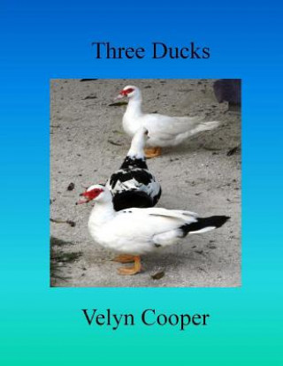 Libro Three Ducks Velyn Cooper