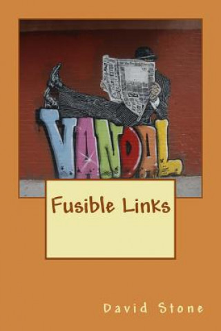 Buch Fusible Links David Stone