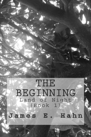 Book The Beginning James E Hahn
