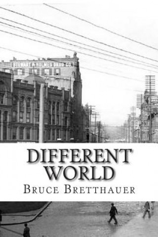 Książka Different World: A Gina Stone Mystery Bruce H Bretthauer