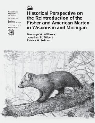 Kniha Historical Perspective on the Reintroduction of the Fisher and American Marten in Wisconsin and Michigan Bronwyn W Williams