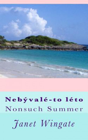 Könyv Nebyvale-To-Leto: Nonsuch Summer Janet Ann Wingate