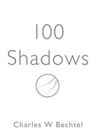 Kniha 100 Shadows Charles William Bechtel