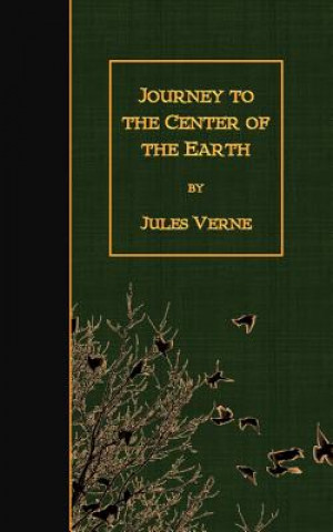 Könyv Journey to the Center of the Earth Jules Verne