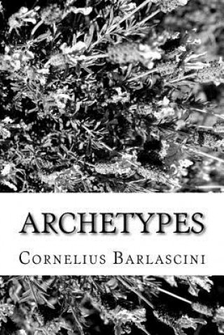 Książka Archetypes Cornelius O Barlascini Jr