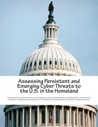 Kniha Assessing Persistent and Emerging Cyber Threats to the U.S. in the Homeland Subcommittee on Counterterrorism and Int