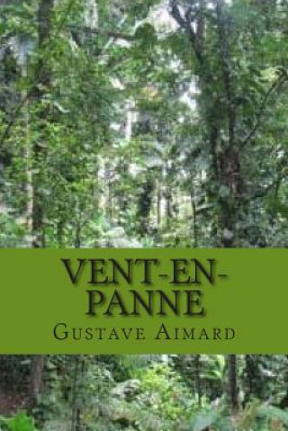 Book Vent-en-panne M Gustave Aimard