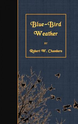 Kniha Blue-Bird Weather Robert W Chambers