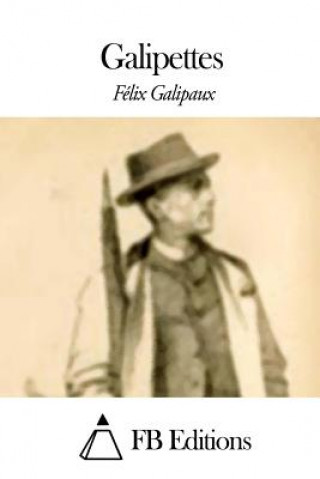 Kniha Galipettes Felix Galipaux