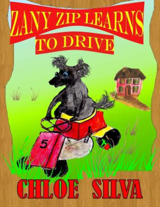 Knjiga Zany Zip Learns to Drive Chloe Silva Miss