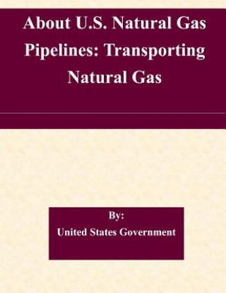 Kniha About U.S. Natural Gas Pipelines: Transporting Natural Gas United States Government