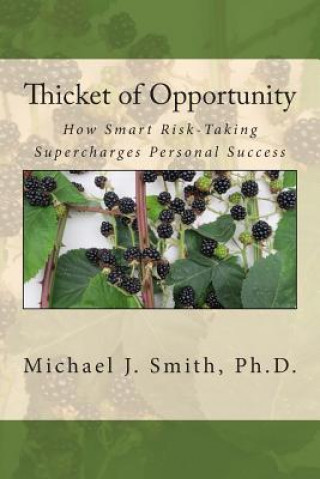 Kniha Thicket of Opportunity: How Smart Risk-Taking Supercharges Personal Success Michael J Smith Ph D