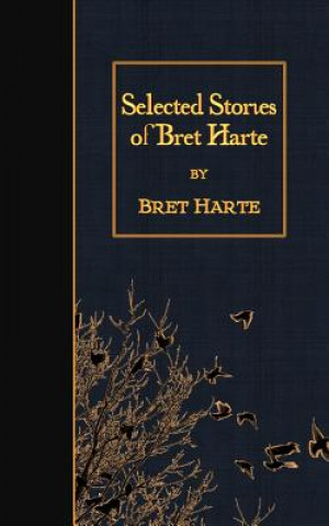 Kniha Selected Stories of Bret Harte Bret Harte