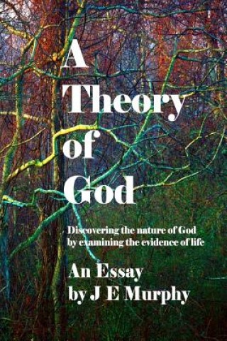 Kniha A Theory of God: Discovering the nature of God by examining the evidence of Life Je Murphy