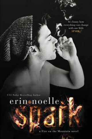 Libro Spark Erin Noelle