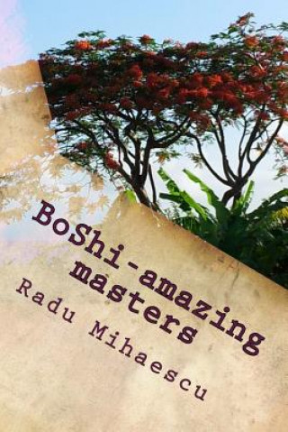 Boek BoShi-amazing masters Radu Mihaescu