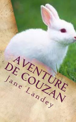 Kniha Aventure de Couzan Jane Landey