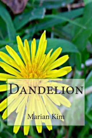 Kniha Dandelion Marian Kim
