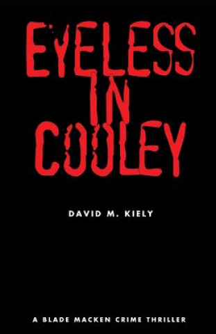 Książka Eyeless in Cooley David M Kiely